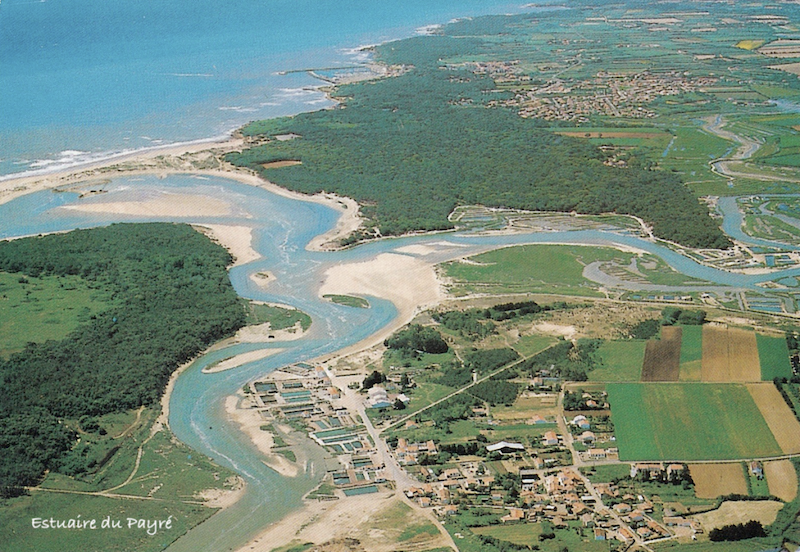 Talmont St Hilaire Plage Du Veillon Le Reporter Des Plages